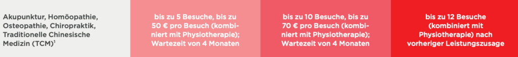 Weltweit versichert PassportCard alternative Medizin